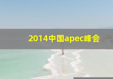 2014中国apec峰会