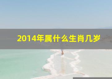 2014年属什么生肖几岁