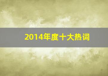 2014年度十大热词