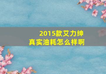 2015款艾力绅真实油耗怎么样啊