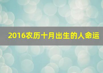 2016农历十月出生的人命运