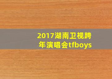 2017湖南卫视跨年演唱会tfboys