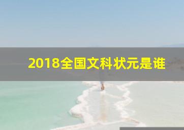 2018全国文科状元是谁