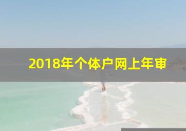 2018年个体户网上年审