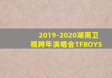 2019-2020湖南卫视跨年演唱会TFBOYS