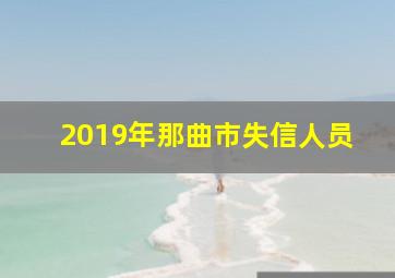 2019年那曲市失信人员