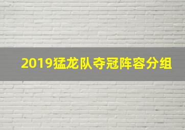 2019猛龙队夺冠阵容分组