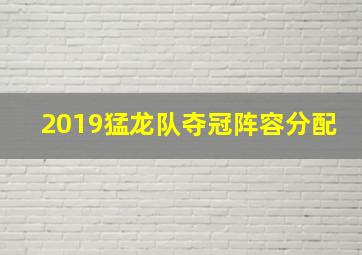 2019猛龙队夺冠阵容分配