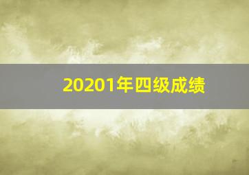 20201年四级成绩