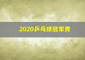 2020乒乓球冠军男