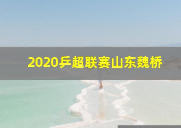 2020乒超联赛山东魏桥