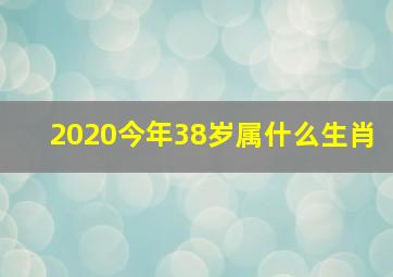 2020今年38岁属什么生肖