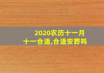 2020农历十一月十一合适,合适安葬吗