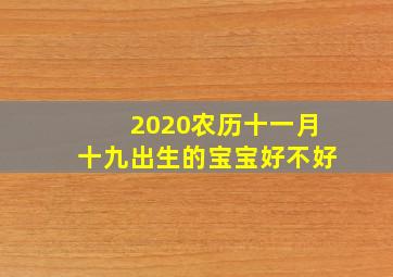 2020农历十一月十九出生的宝宝好不好