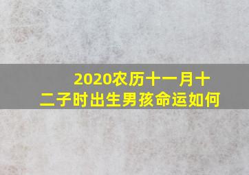 2020农历十一月十二子时出生男孩命运如何