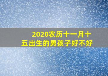 2020农历十一月十五出生的男孩子好不好