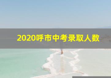 2020呼市中考录取人数