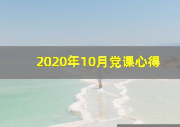 2020年10月党课心得