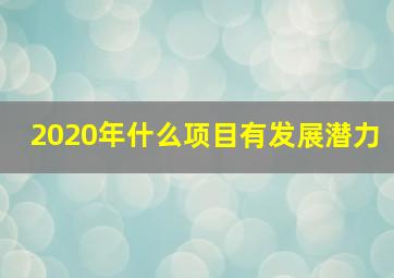 2020年什么项目有发展潜力