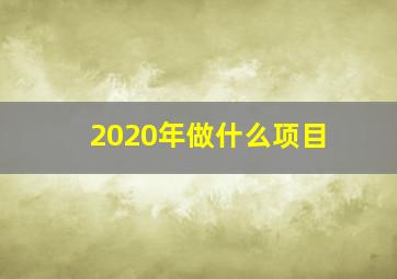 2020年做什么项目