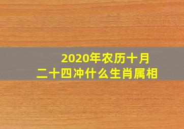 2020年农历十月二十四冲什么生肖属相