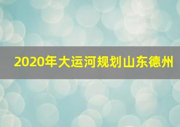 2020年大运河规划山东德州