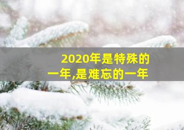 2020年是特殊的一年,是难忘的一年