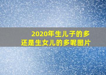 2020年生儿子的多还是生女儿的多呢图片