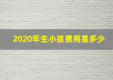 2020年生小孩费用是多少