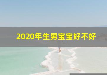 2020年生男宝宝好不好