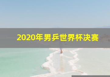 2020年男乒世界杯决赛