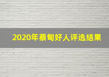 2020年蔡甸好人评选结果