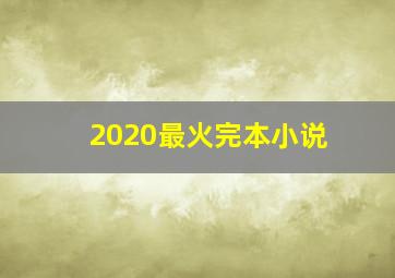 2020最火完本小说