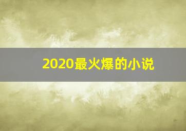 2020最火爆的小说