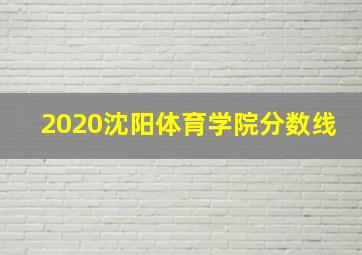 2020沈阳体育学院分数线