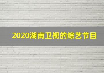 2020湖南卫视的综艺节目