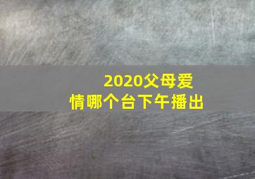 2020父母爱情哪个台下午播出