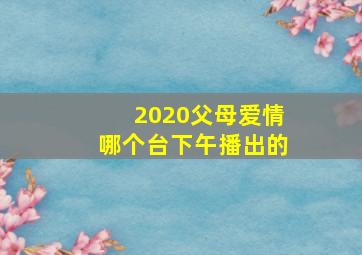 2020父母爱情哪个台下午播出的