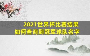 2021世界杯比赛结果如何查询到冠军球队名字