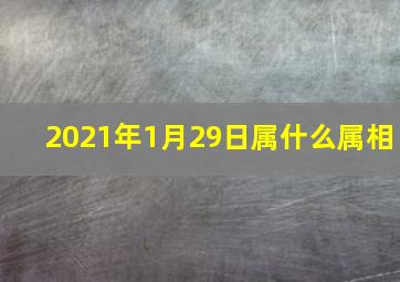 2021年1月29日属什么属相