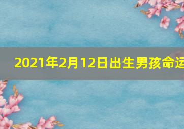 2021年2月12日出生男孩命运