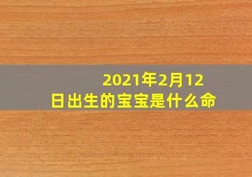 2021年2月12日出生的宝宝是什么命