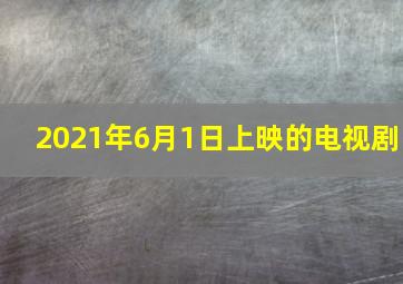 2021年6月1日上映的电视剧