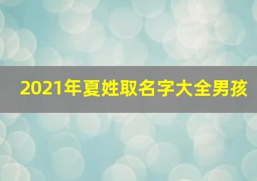 2021年夏姓取名字大全男孩