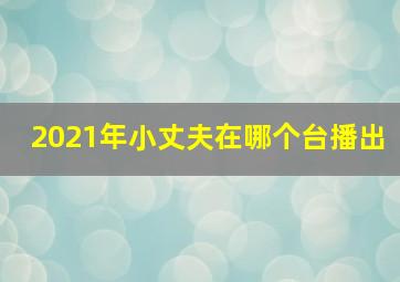 2021年小丈夫在哪个台播出