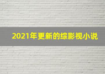 2021年更新的综影视小说