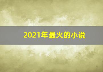 2021年最火的小说