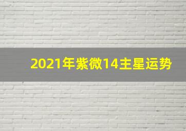 2021年紫微14主星运势