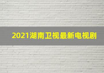 2021湖南卫视最新电视剧