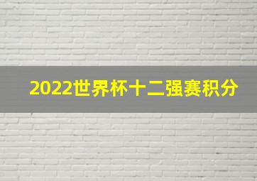 2022世界杯十二强赛积分